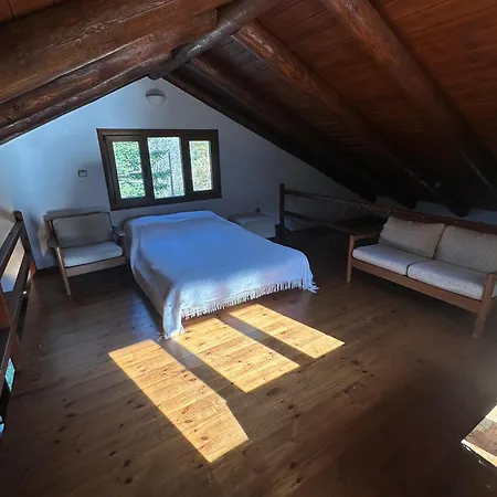 Mountain Nest - Your Fairytale Escape Σαλέ